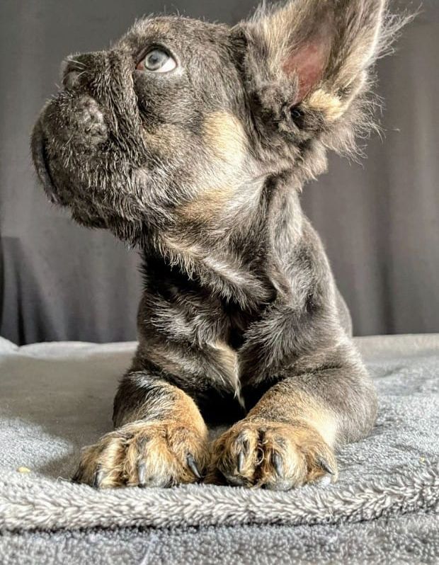 Big rope fluffy