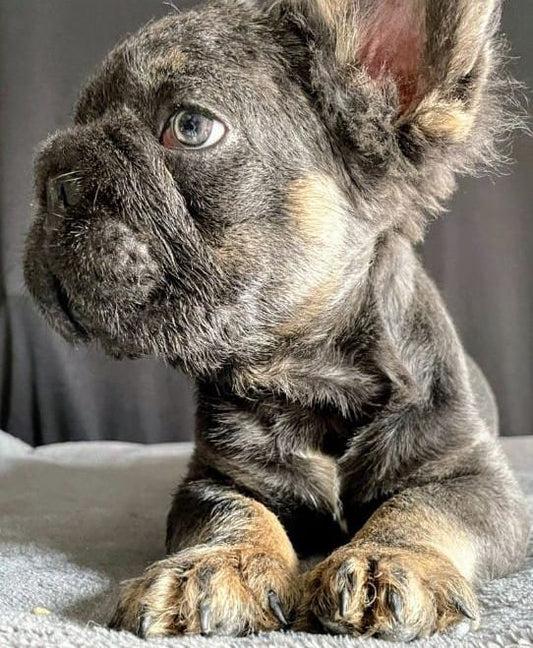 Big rope fluffy